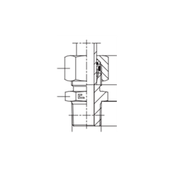 Штуцер FC DL06 BSPT 1/4" 101724.4