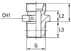 Штуцер FC DLL08 BSPT 1/8 (корпус) 101703.1