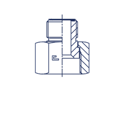 Соединение PR D20-12 ORFS 1.3/16 - ORFS 13/16 401915