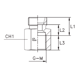 Соединение PS DS38 BSP 1.1/2 (корпус) 100723.1