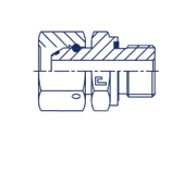 Штуцер FNE BSP 1