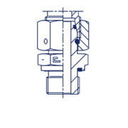 Штуцер FNE DL35 BSP 1.1/2