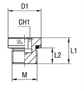 Заглушка V (Ш) М10х1 107901