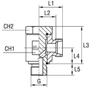 Соединение JE DL06 BSP 1/8