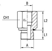 Соединение PFE BSP 1.1/2