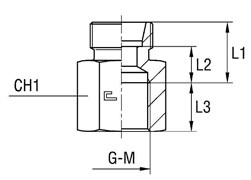 Соединение PS DS10 BSP 3/8