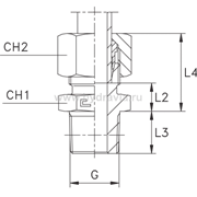 Штуцер FC DS16 BSP 1/2