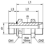Штуцер FDE DL18 BSP 1/2