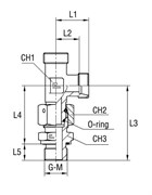 Штуцер FNLE DS12 BSP3/8