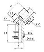 Штуцер FRG45 DS14 BSP1/2