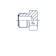 Заглушка V (Ш) ORFS 1.3/16 407705