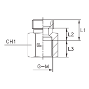 Соединение PS DL42 BSP 1.1/2