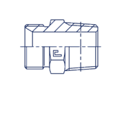Штуцер FC BSP 1.1/2