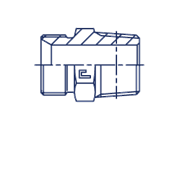 Штуцер FC BSP 1.1/2